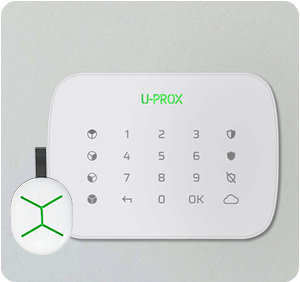 Tastaturi si telecomenzi